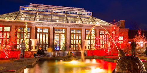 tower hill botanic garden night lights